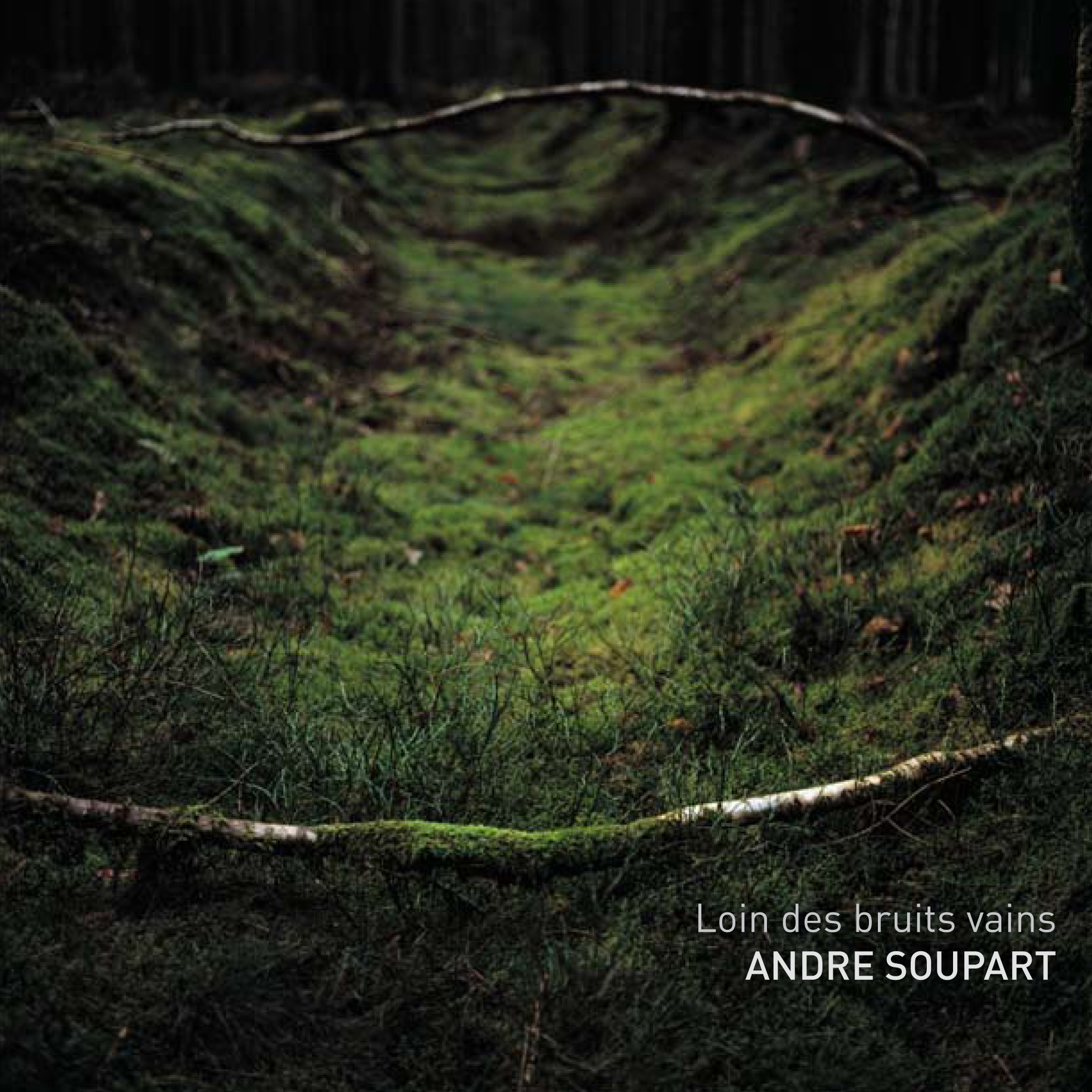 Loin des bruits vains