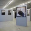 Vue de l'exposition: Luc Ewen