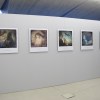 Vue de l'exposition: Luc Ewen