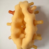 Vulve, mousse, et tétines