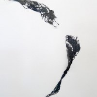Neurolines
