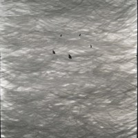 Sans titre, indian ink on paper, 260 x 200 cm, 2005