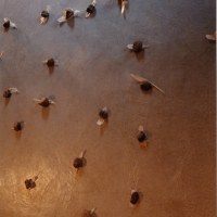 Vue de l'installation