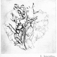 Sans titre, gravure à la pointe sèche