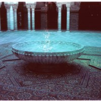 La Mosquée de Paris, 2005