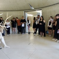Cerf, cerf !