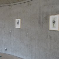 Vue d'exposition