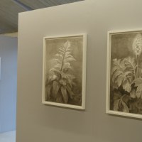 Vernissage