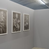 Vernissage
