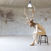 Cerf, cerf !
