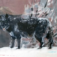 Le loup