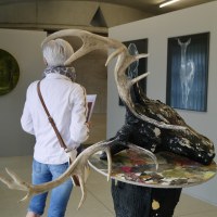 Cerf, cerf !