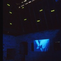 Lèvres, sourire, secret. Installation