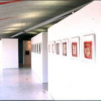 Vue de l'exposition
