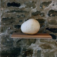 Vue de l'exposition, crâne d'enfant en chocolat