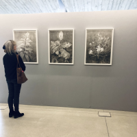Vernissage