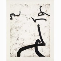 Random Combination of Indeterminate Lines, aquatinte, 162 x122 cm, 1995-96
