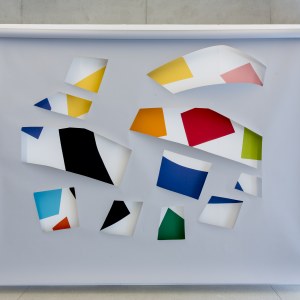 Sans titre, papiers découpés et collés, 240 x 200 cm, 2014