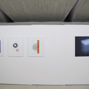 Vue de l'exposition: Patrick Corillon et Lucia Bru