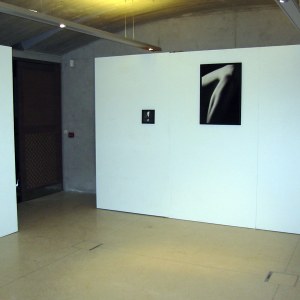 Vue de l'exposition, Alain Janssens