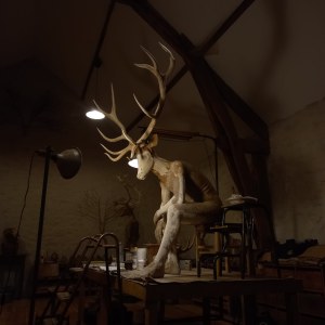 Actéon en construction