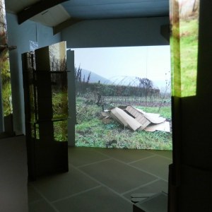 Cabane en carton, dimensions variables, croiser l'espace, 2020