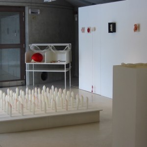 Vue de l'exposition, Delphine Génicot