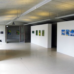 Vue de l'exposition Jean-marie Biwer et Jean-Pierre Ransonnet