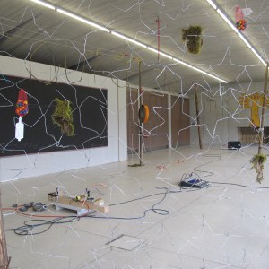 Still Not Out Of The Woods