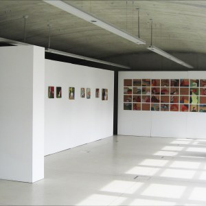 Vue de l'exposition, Catherine Jaumotte