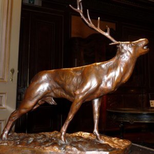 L'appel de la forêt