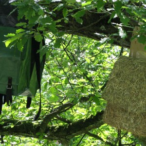 Les effets, les gibecières, les sacoches