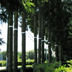 Pansements impression numérique sur bâche