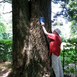 Hommage plaques émaillées