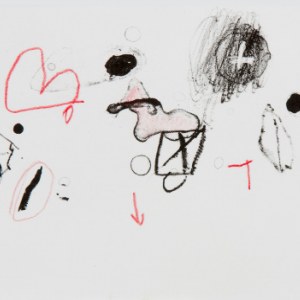 Sans titre, Belgeonne