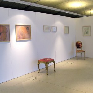 Sophie Vangor, vue de l'installation