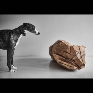 Vue de l'exposition Sonder le mystère