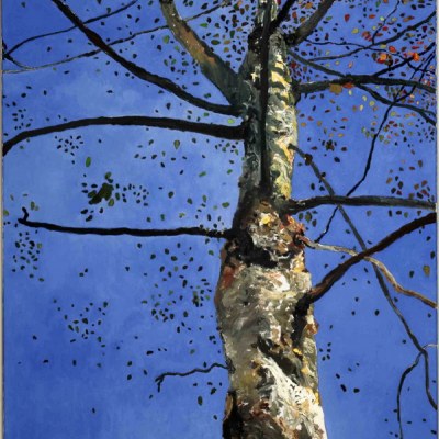 Bouleau, huile sur toile