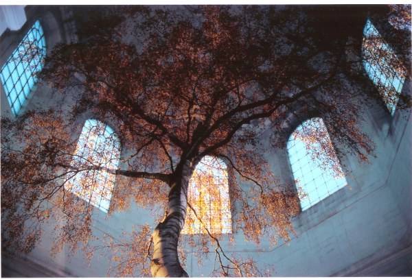 La Salpétrière Paris, 2004