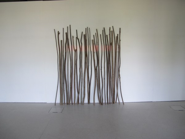 Sans titre, bâtons et irradiation de la couleur vers le mur, bois et couleur, longueur variable