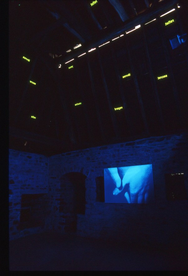 Lèvres, sourire, secret. Installation