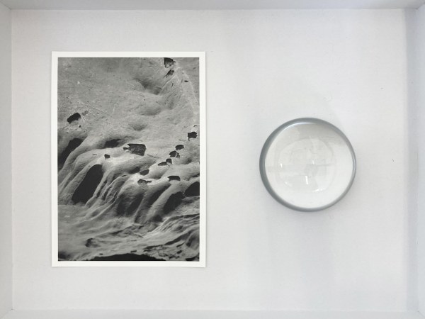 La langue rhône de Vanessa Gandar et François Génot