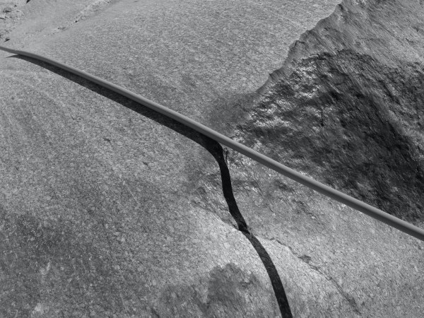 Vanessa Gandar, François Génotypes