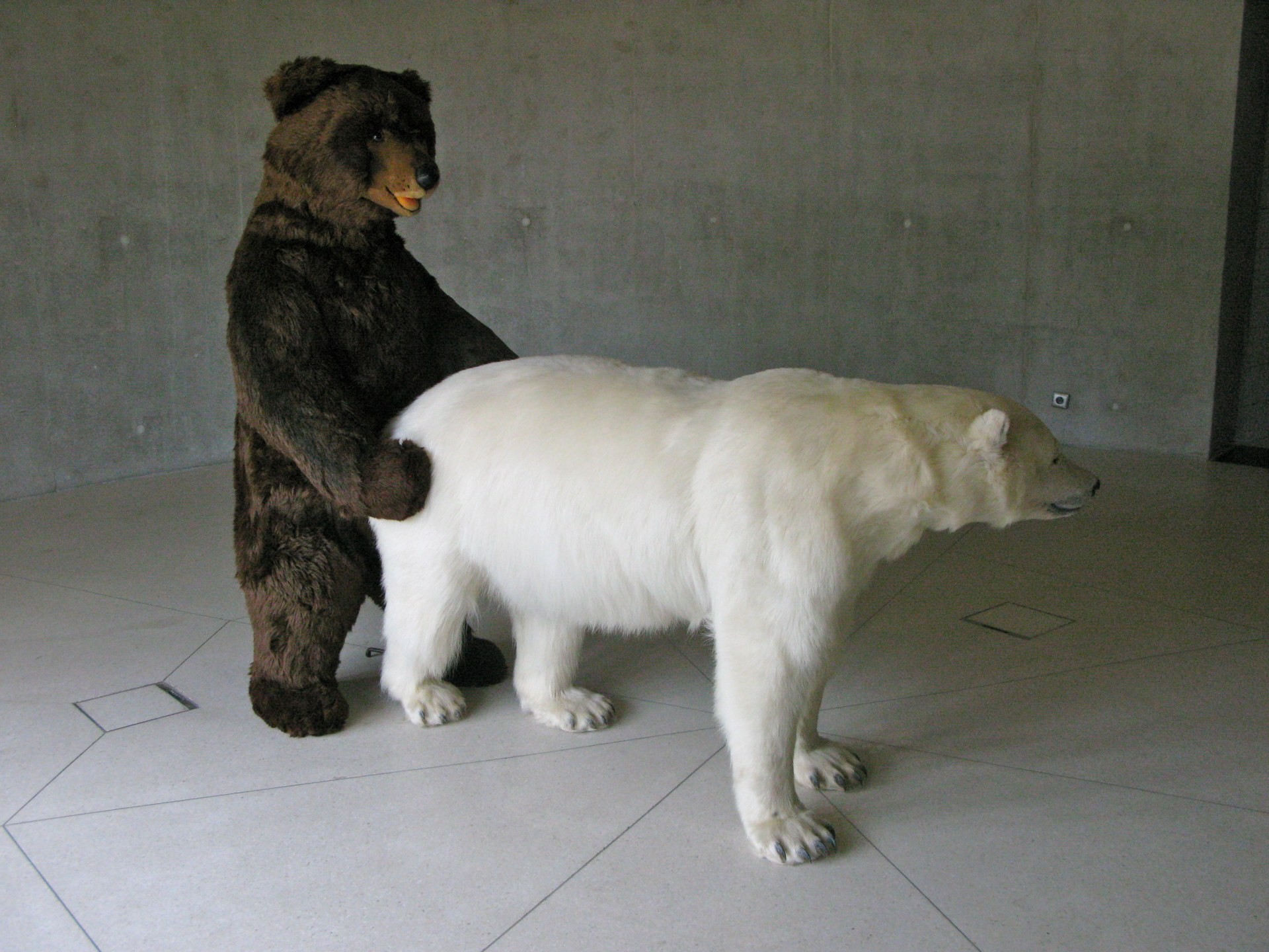 Bipolar Perversion 2, ours en peluche et ours blanc naturalisé